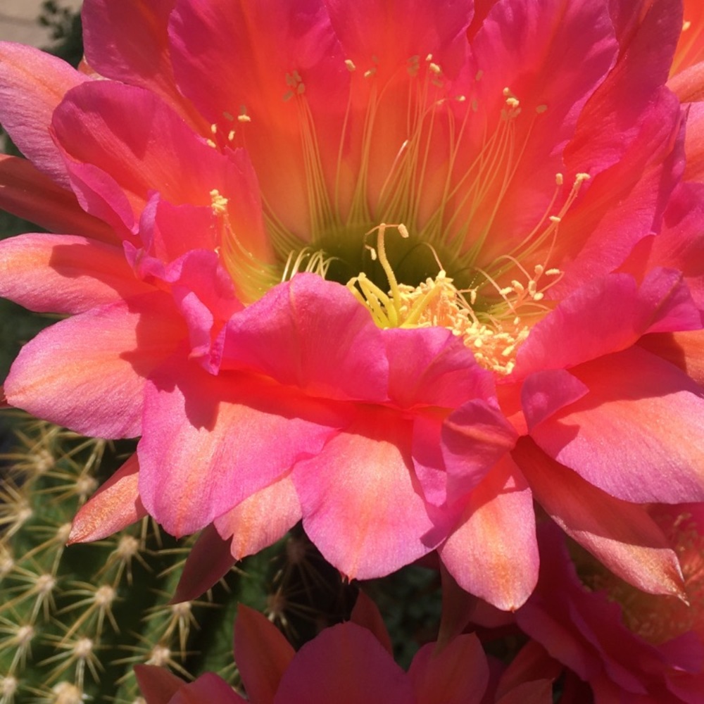 Meet your Posher, Katy